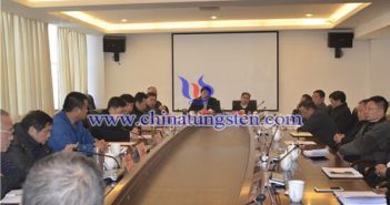 九大鎢礦企業(yè)座談 共商贛南鎢業(yè)可持續(xù)發(fā)展之路 九大鎢礦企業(yè)座談圖片