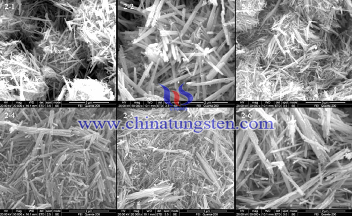 不同濃度的Na2SO4作為添加劑時(shí)製備的WO3的SEM照片