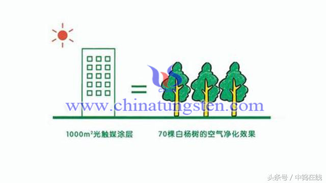 光觸媒的淨(jìng)化效果圖片