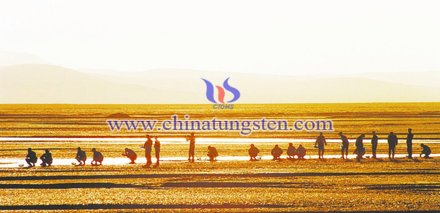 金色晨曲。清晨，戰(zhàn)友們?cè)跍咸吝呄词螐V臣 攝
