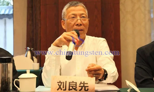 中國鎢業(yè)協會副會長兼秘書長劉良先講話