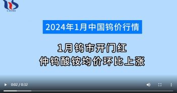 2024年1月仲鎢酸銨均價(jià)環(huán)比上漲圖片