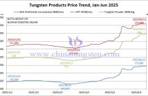 Tungsten Price Trend from January to June 13, 2025