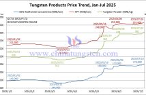 Tungsten Price Trend from January to July 10, 2025