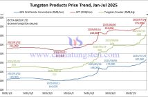 Tungsten Price Trend from January to July 24, 2025