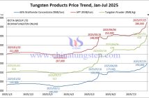 Tungsten Price Trend from January to July 25, 2025