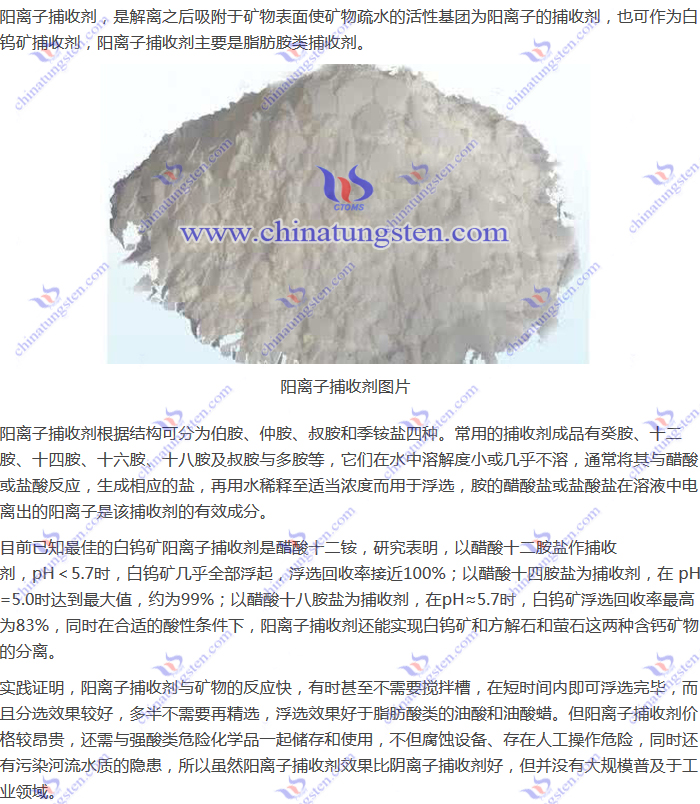 白鎢礦捕收劑--陽(yáng)離子捕收劑