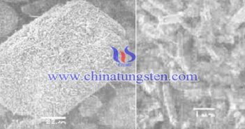 95%細(xì)顆粒紫鎢 紫鎢SEM圖片