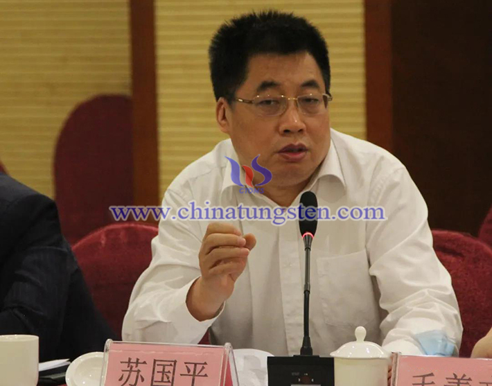 中國鎢業(yè)協(xié)會主席團主席、安泰天龍鎢鉬科技有限公司董事蘇國平