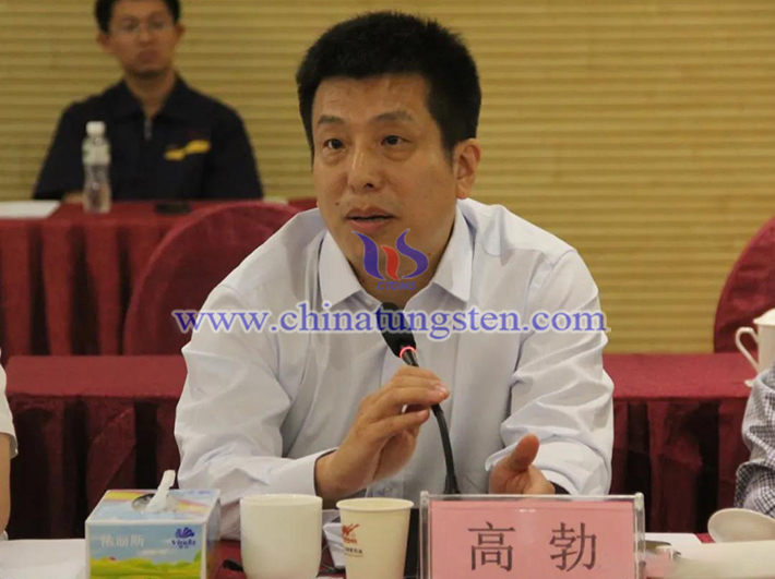 中國鎢業(yè)協(xié)會主席團主席、中鎢高新材料股份有限公司副總經(jīng)理高勃