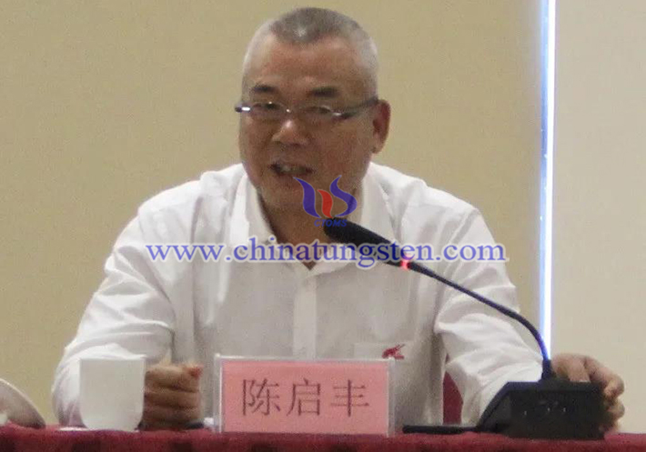 中國鎢業(yè)協(xié)會主席團執(zhí)行主席、廣東翔鷺鎢業(yè)股份有限公司董事長陳啟豐