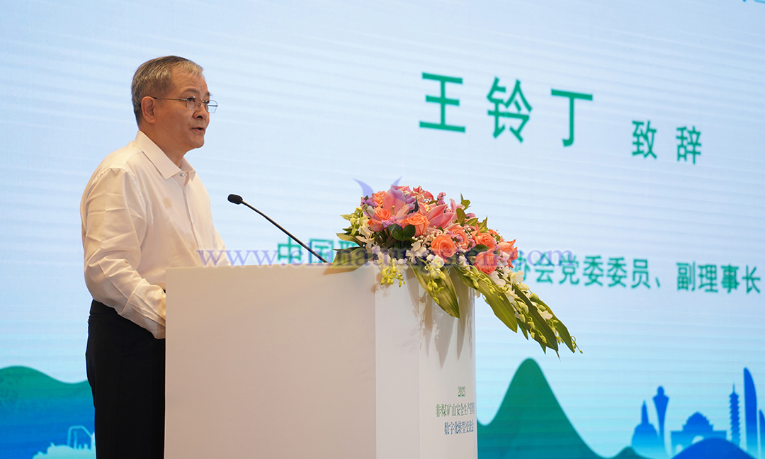 中國(guó)職業(yè)安全健康協(xié)會(huì)黨委委員、副理事長(zhǎng) 王鈴丁